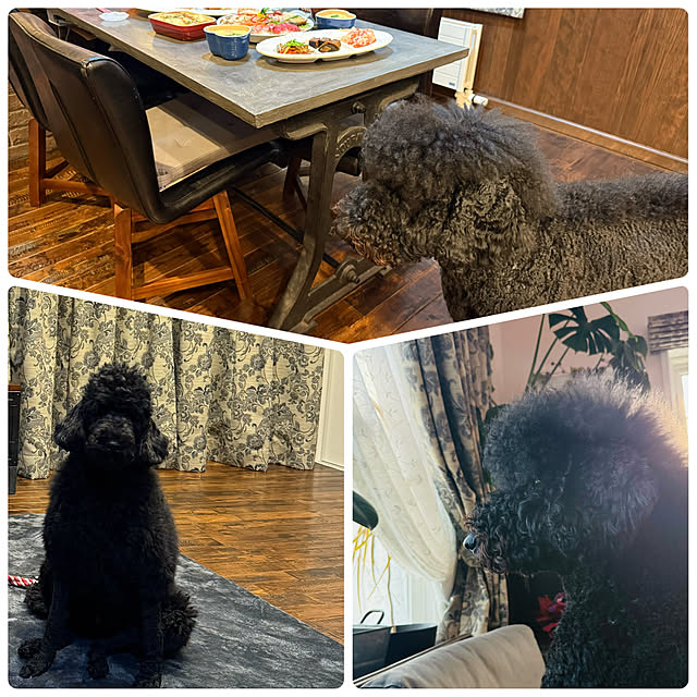 usagiさんの部屋