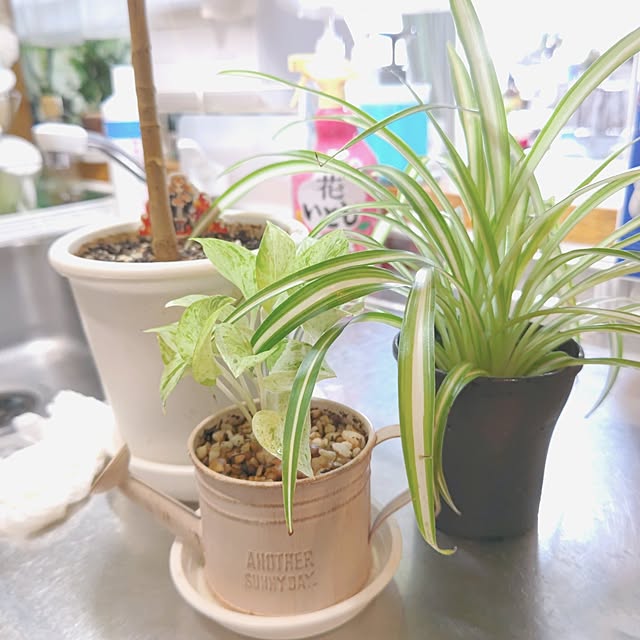 mariaさんの部屋