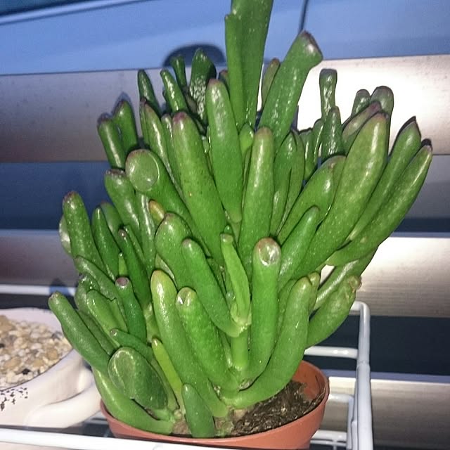 hideさんの実例写真