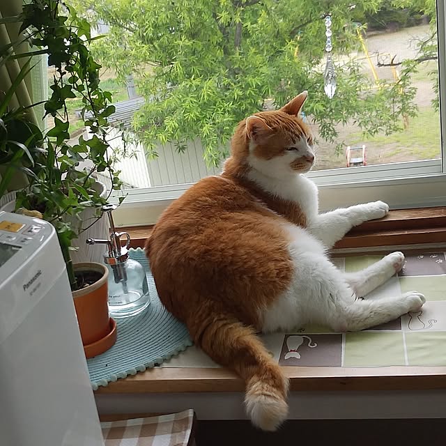 yumiさんの部屋