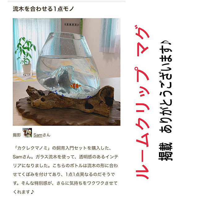 Samさんの実例写真