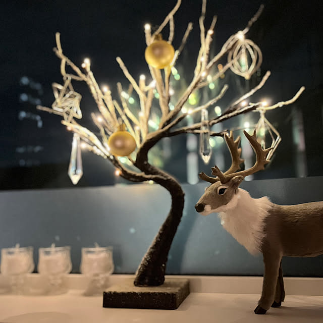 negichanさんの実例写真