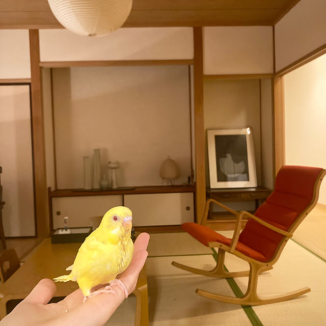 kaoriさんの部屋