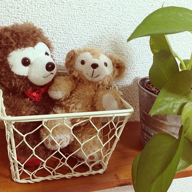 yukiさんの実例写真