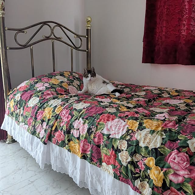 machikomamaさんの部屋