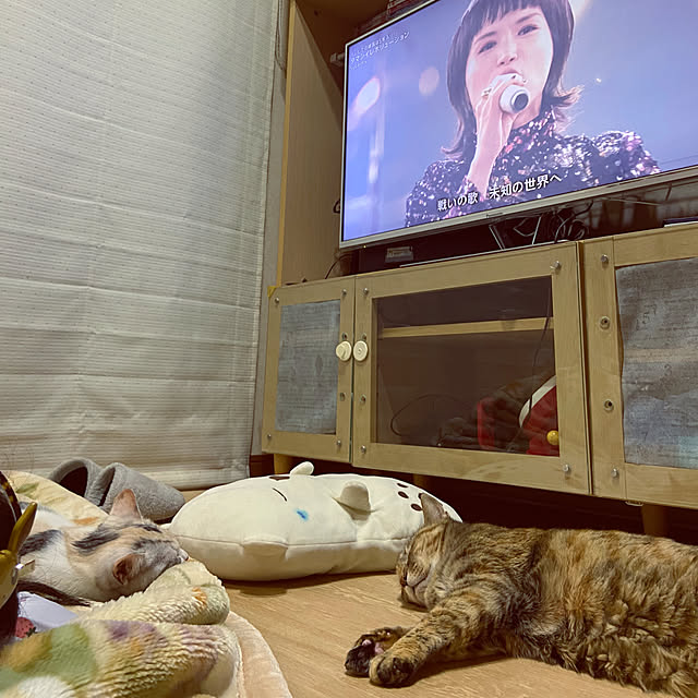 hansho.sさんの実例写真