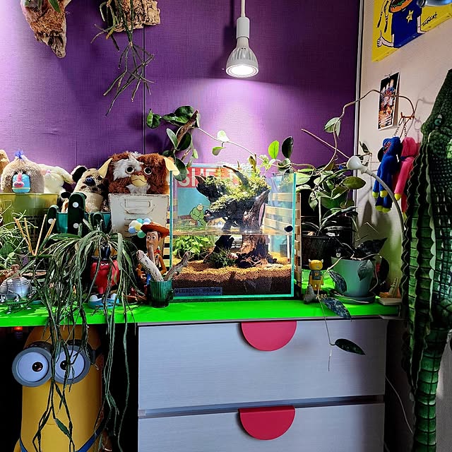megastafarmさんの部屋