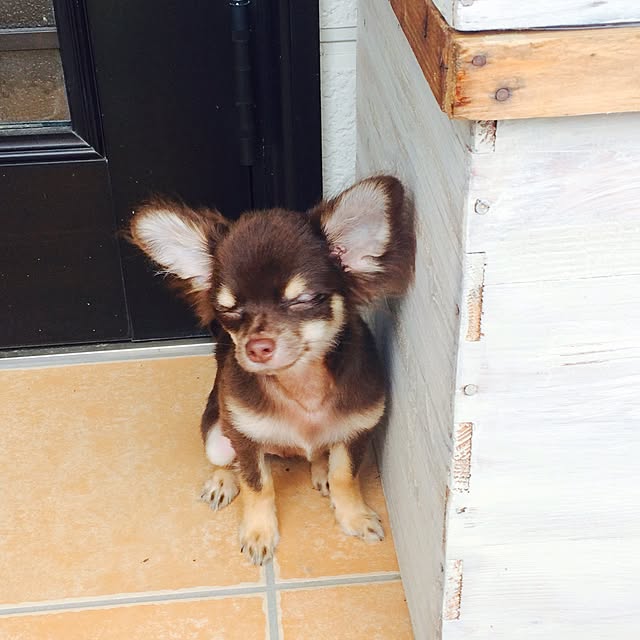 takaさんの実例写真