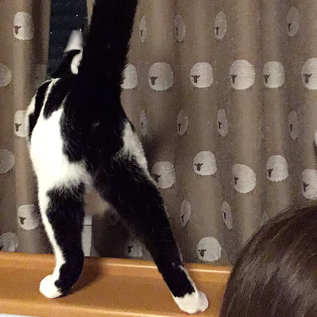 hanaさんの実例写真