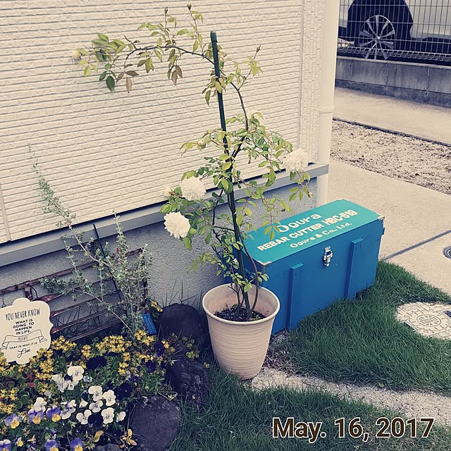 masarinn.さんの実例写真
