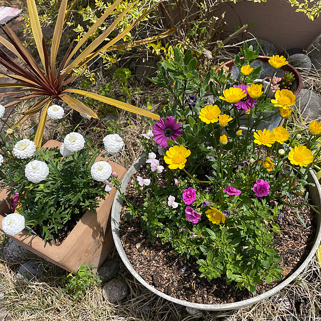 Andaluciaさんの部屋