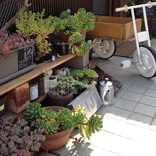 botanさんの実例写真