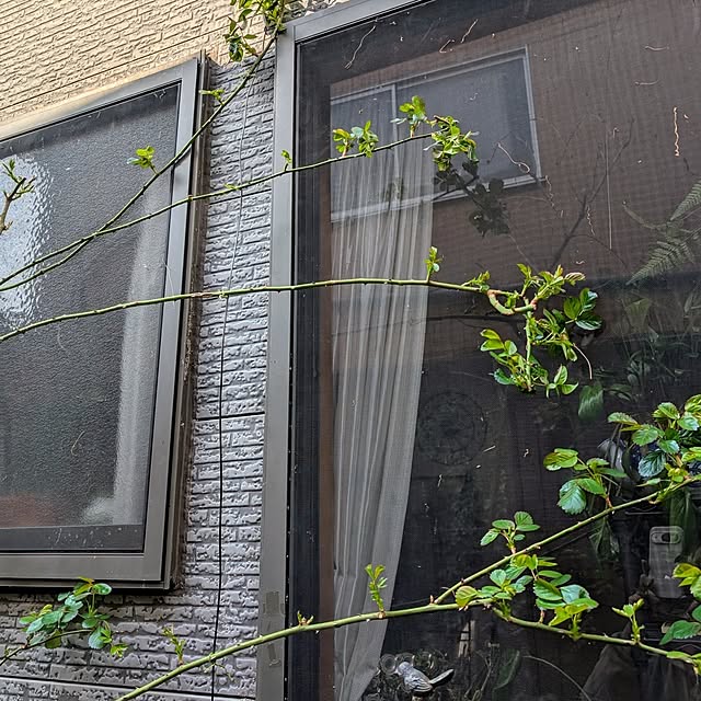 aromameさんの実例写真