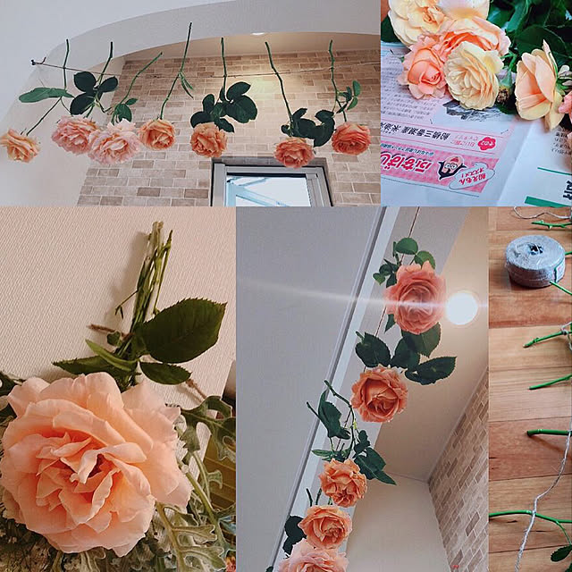 e_lover0218さんの実例写真
