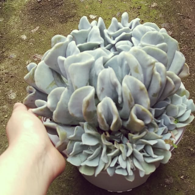 HIRO.TA29さんの実例写真