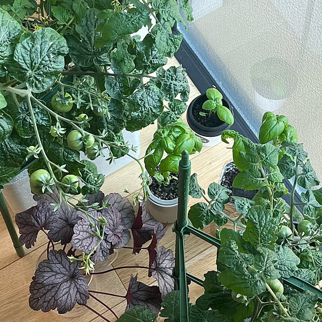take_nokoさんの部屋