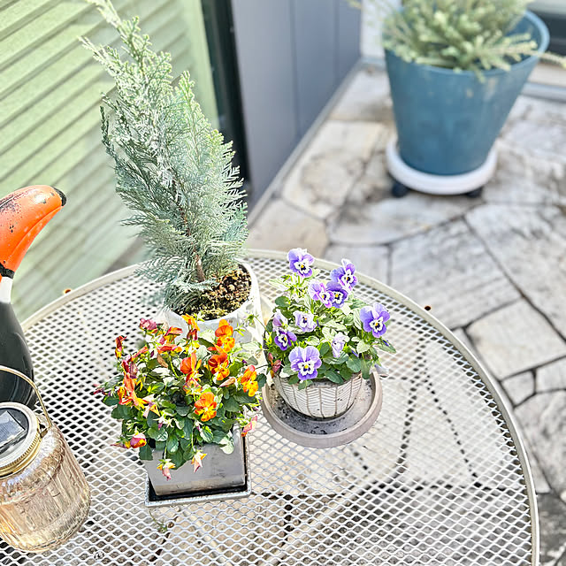 Minteaさんの実例写真