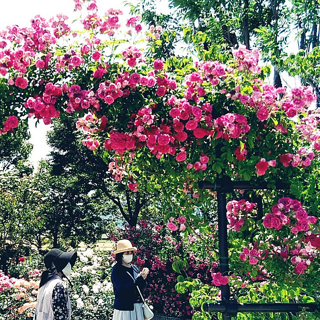 Green-appleさんの実例写真
