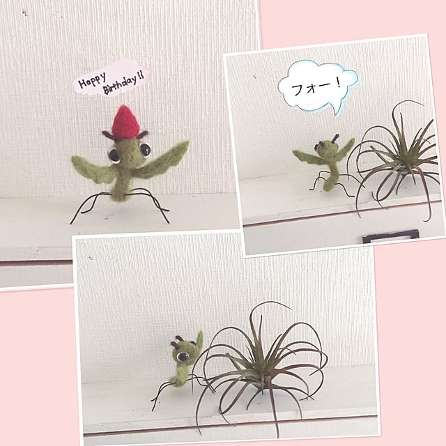 kusuttoさんの実例写真