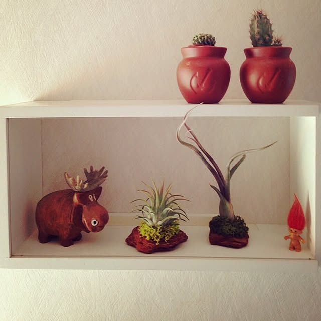 棚/植物のインテリア実例 - 2015-02-18 08:52:37