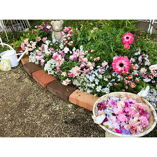 ponさんの実例写真