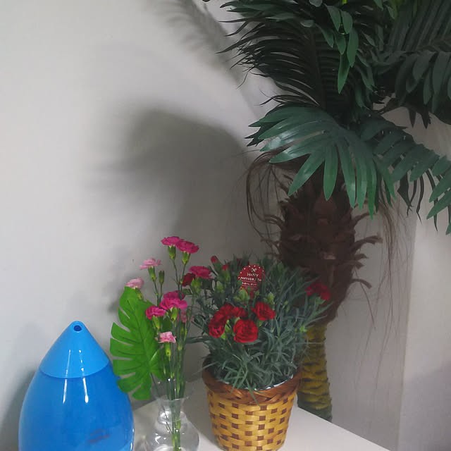 flamenco.sy09110711さんの実例写真