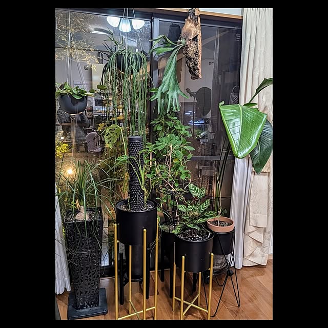 aromameさんの実例写真
