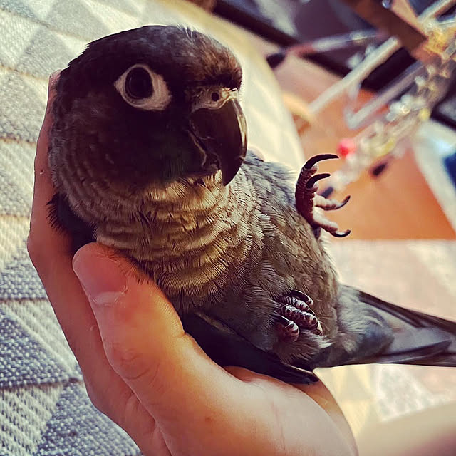 s.p.sunaoさんの部屋