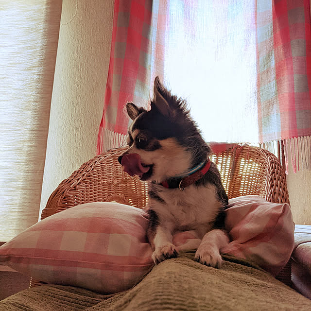 Pukuさんの実例写真