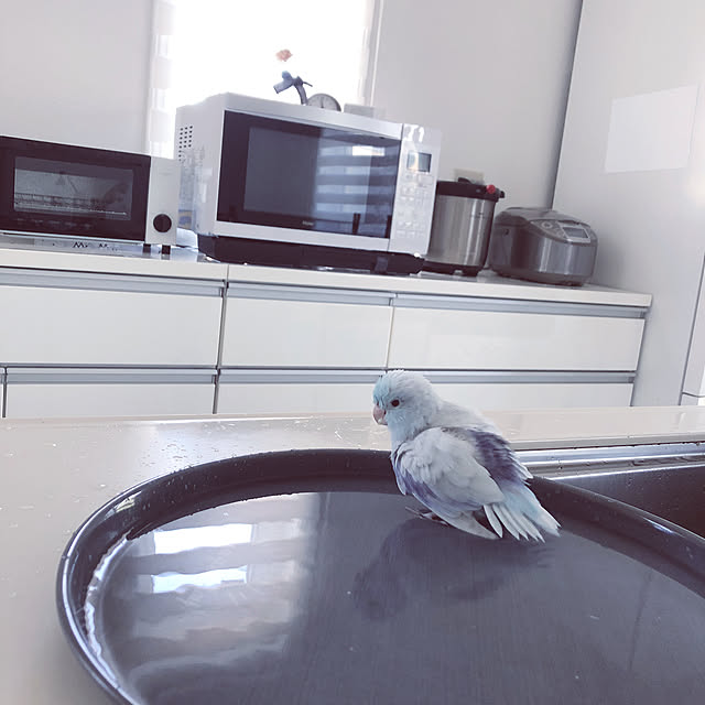 linaさんの実例写真