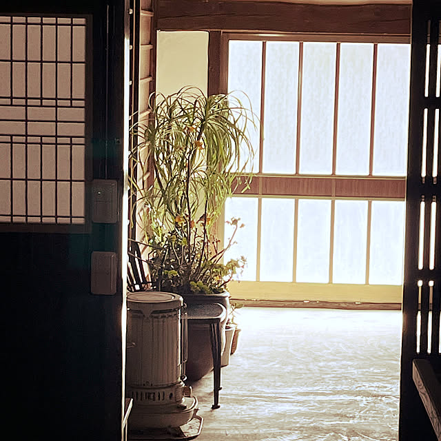 cota2さんの部屋