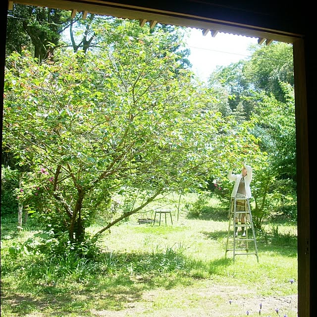 mairin318さんの実例写真