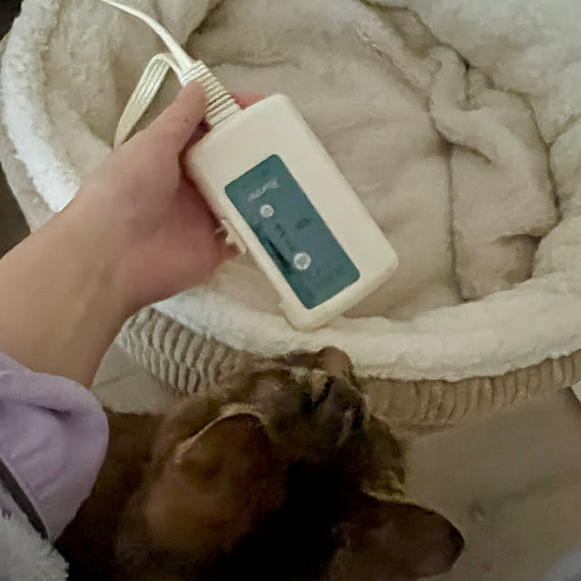 blue.with.whiteさんの部屋