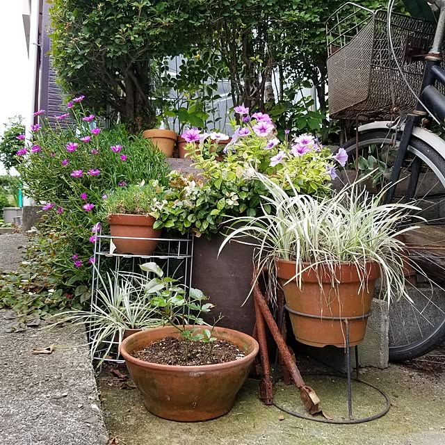midoriさんの部屋