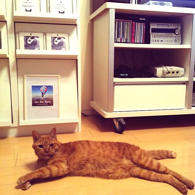 cyokotaroさんの実例写真