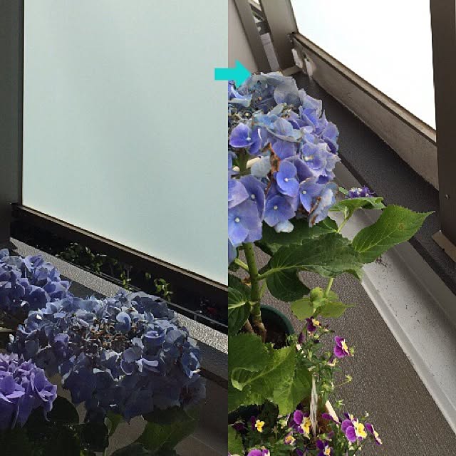 cantikさんの実例写真