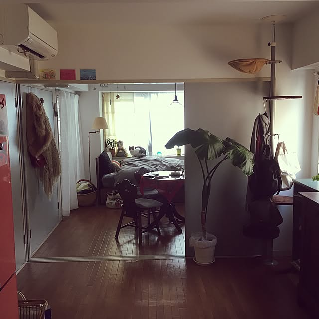 部屋全体/アンティーク/観葉植物/無印良品/一人暮らし...などのインテリア実例 - 2017-03-20 12:47:41