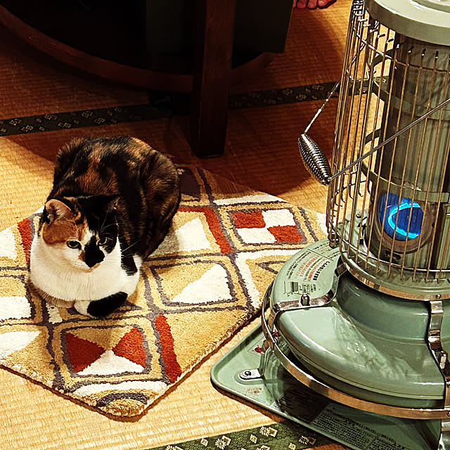 choroさんの実例写真