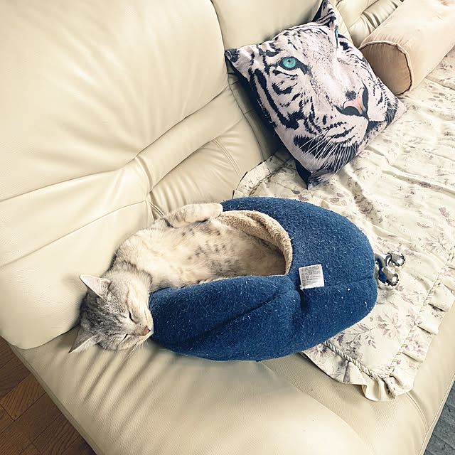 anonさんの実例写真
