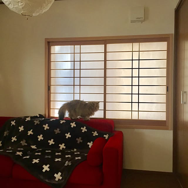 butachanさんの実例写真