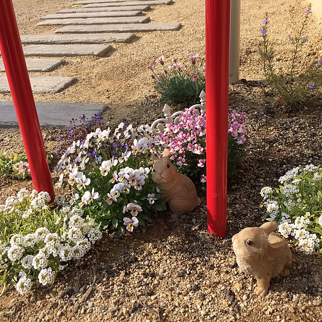 Akiさんの実例写真