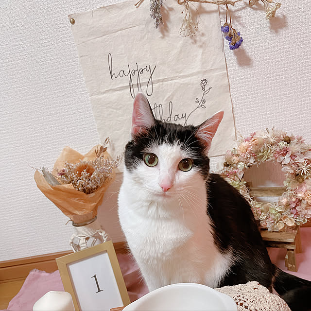 harukaさんの実例写真