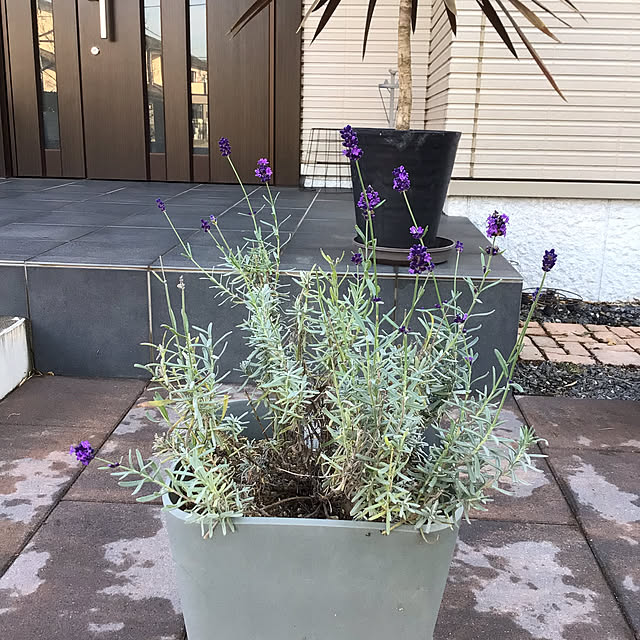 houenさんの部屋