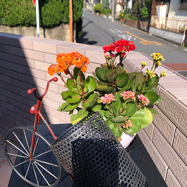 Etsukoさんの部屋