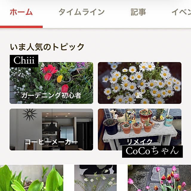 実例写真