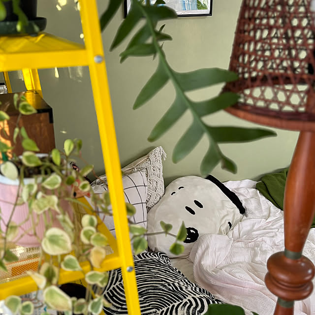 ndmynwkさんの部屋