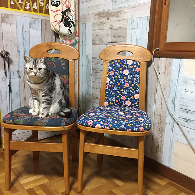tanutanさんの実例写真