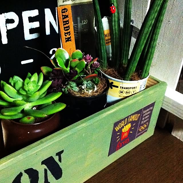 mintさんの実例写真