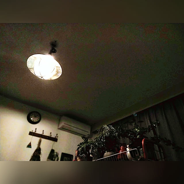 hasさんの実例写真