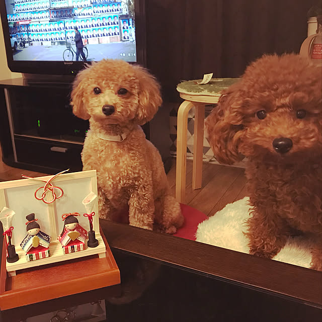 Karinさんの実例写真